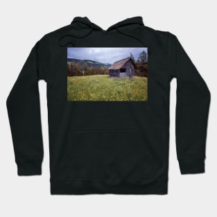 Cabin on the Mountain Hoodie